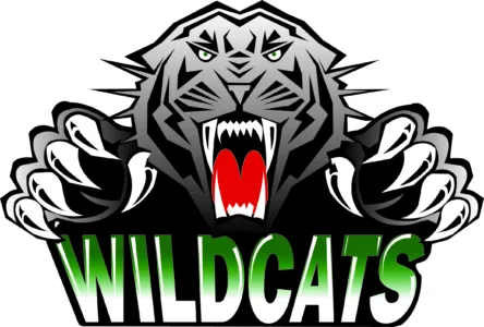 Returning seniors give Wildcats volleyball team early stability